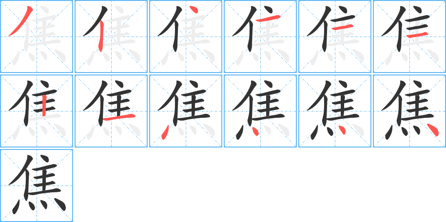 焦字的笔顺分布演示