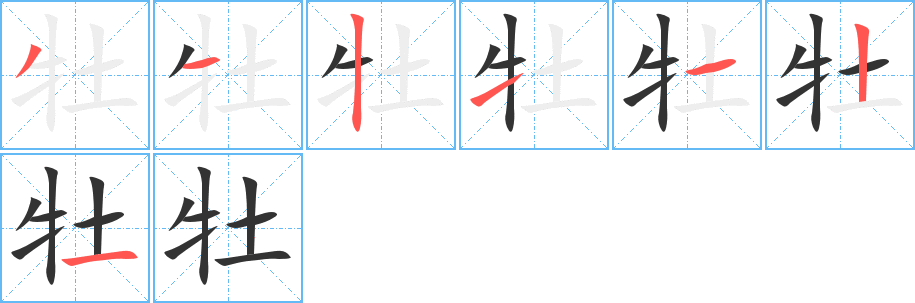 牡字的笔顺分布演示