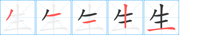 生字的笔顺分布演示