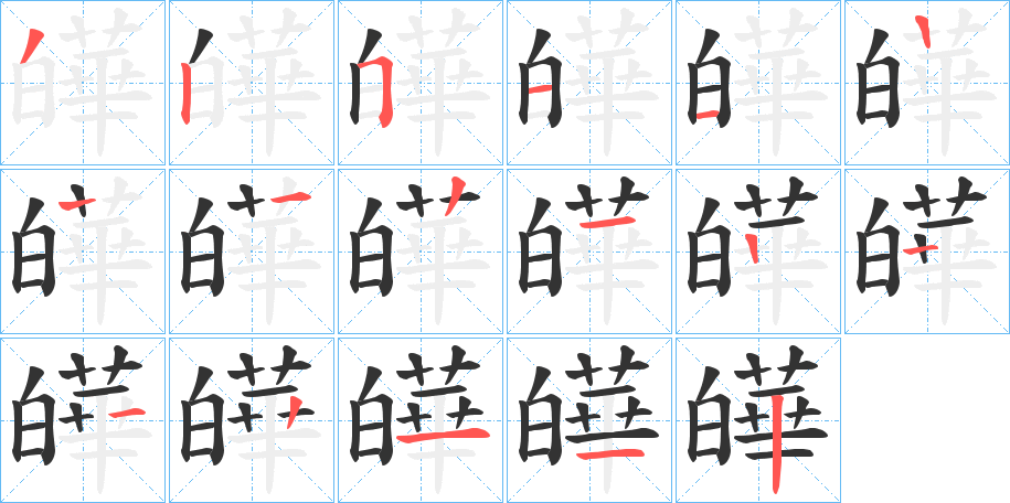 皣字的笔顺分布演示