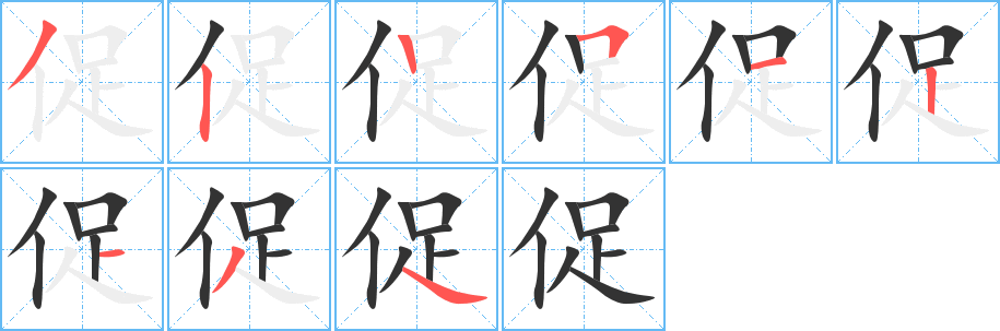 促字的笔顺分布演示