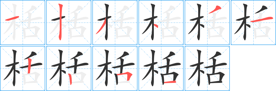 栝字的笔顺分布演示