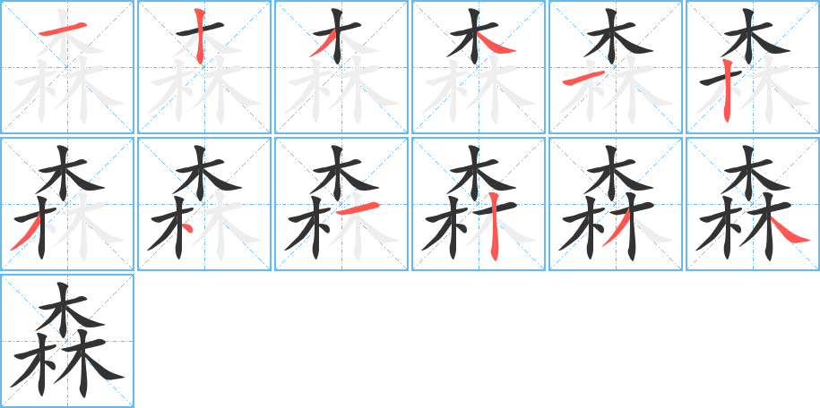 森字的笔顺分布演示