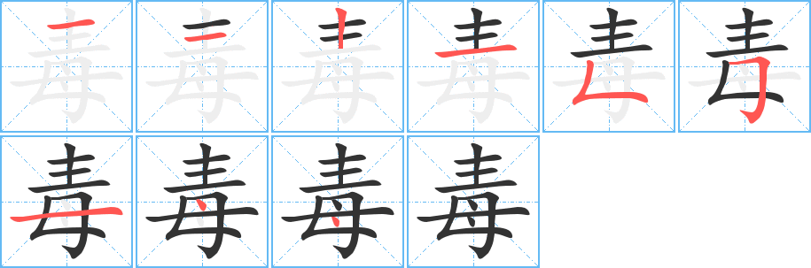 毒字的笔顺分布演示