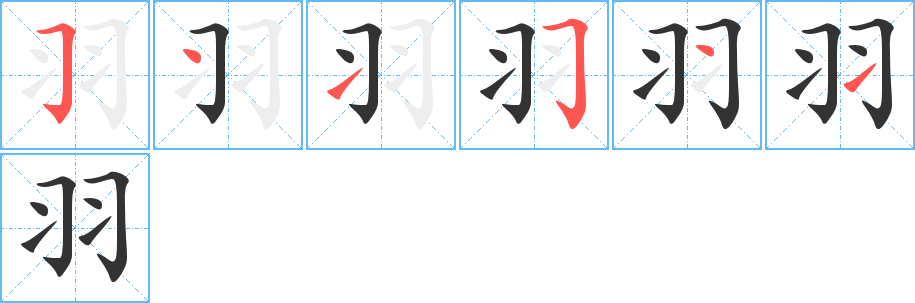 羽字的笔顺分布演示