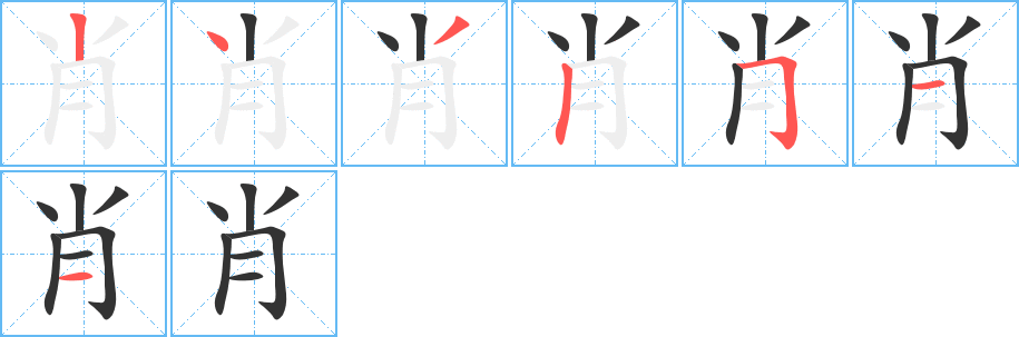 肖字的笔顺分布演示