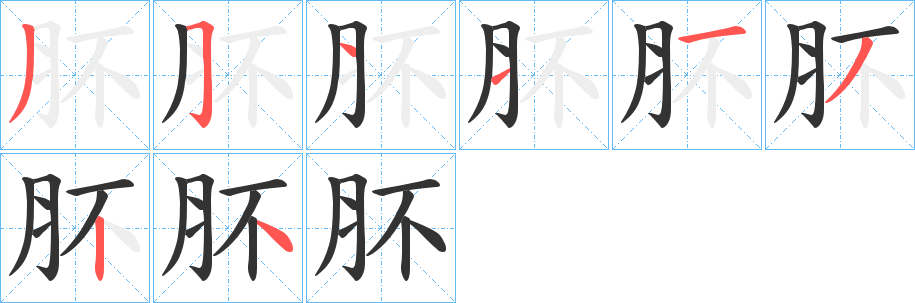 肧字的笔顺分布演示