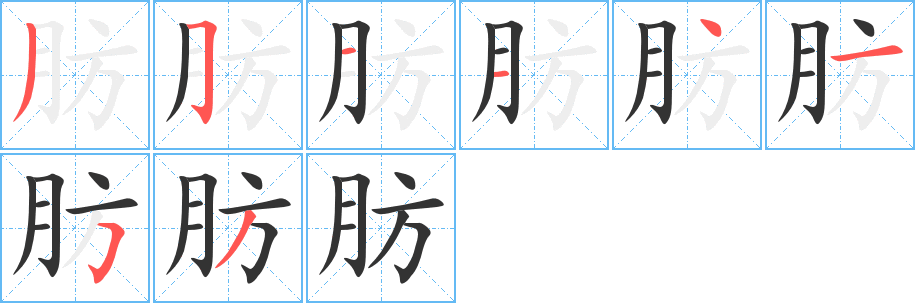 肪字的笔顺分布演示