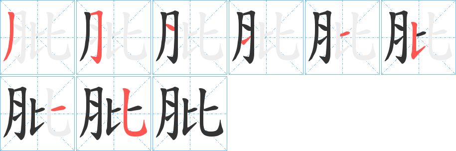 肶字的笔顺分布演示