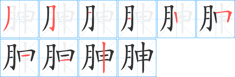 胂字的笔顺分布演示