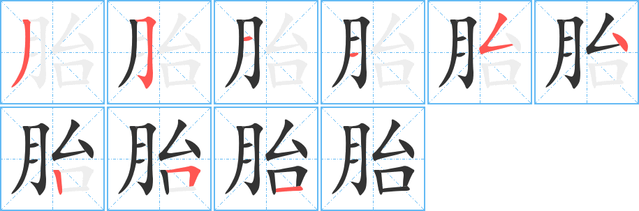 胎字的笔顺分布演示