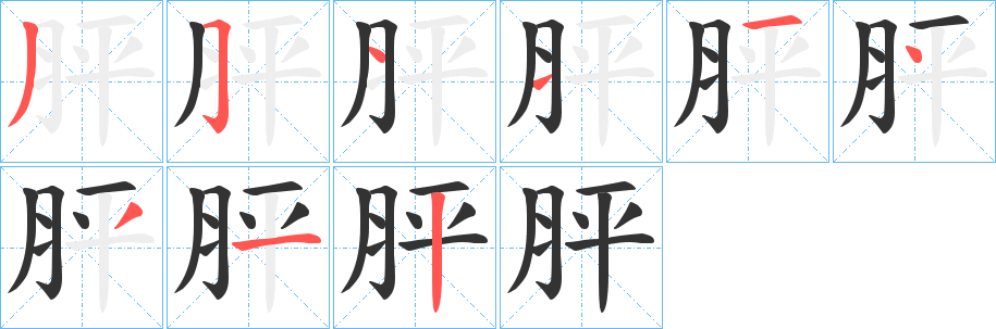 胓字的笔顺分布演示