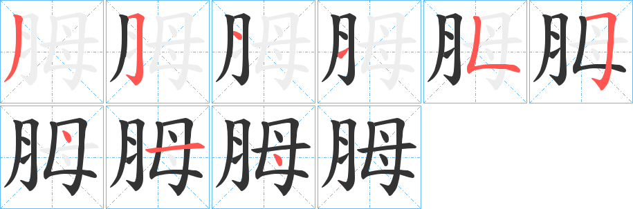 胟字的笔顺分布演示