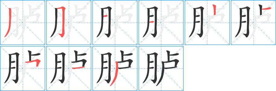 胪字的笔顺分布演示