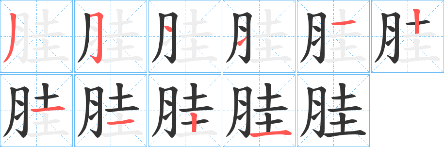 胿字的笔顺分布演示