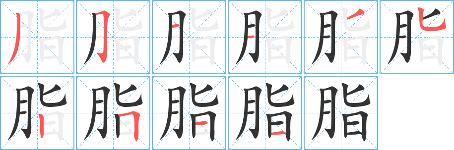 脂字的笔顺分布演示