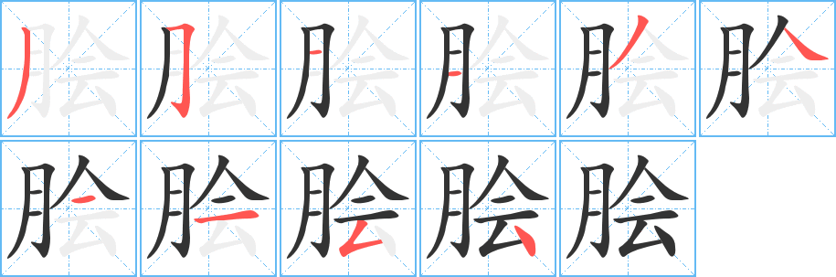 脍字的笔顺分布演示