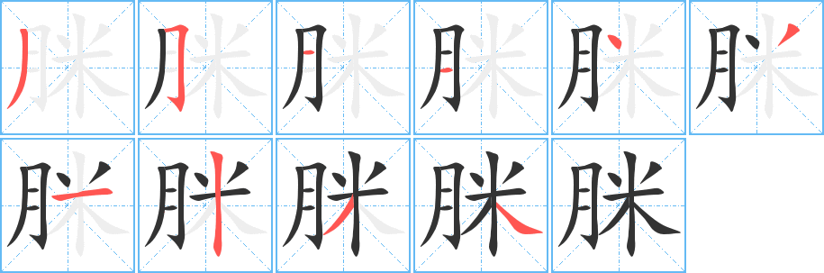 脒字的笔顺分布演示