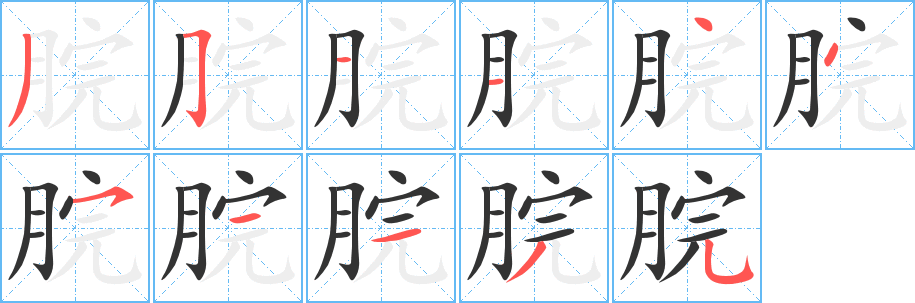 脘字的笔顺分布演示