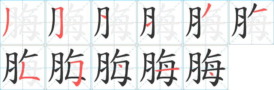 脢字的笔顺分布演示