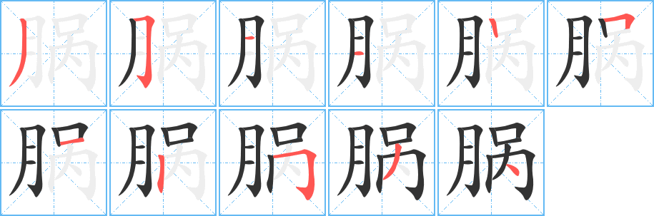 脶字的笔顺分布演示