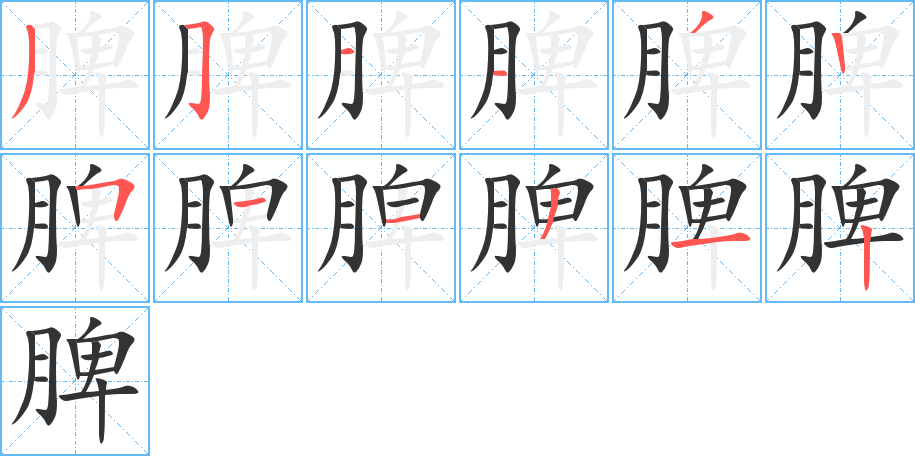 脾字的笔顺分布演示