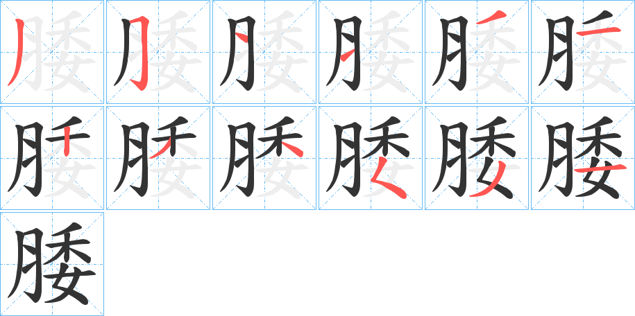 腇字的笔顺分布演示