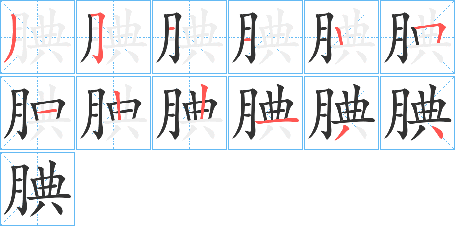 腆字的笔顺分布演示