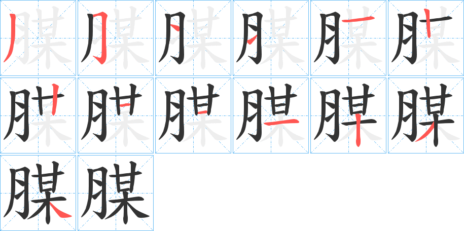 腜字的笔顺分布演示