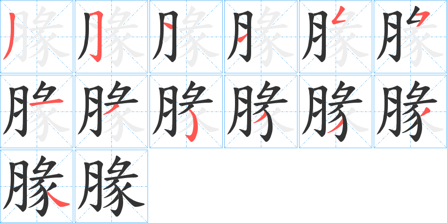 腞字的笔顺分布演示