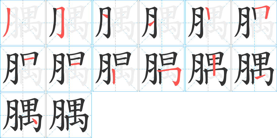 腢字的笔顺分布演示