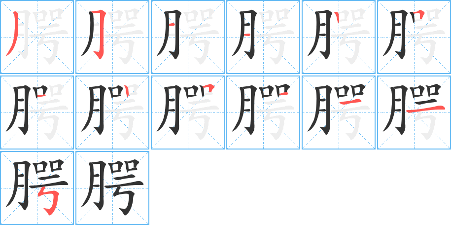 腭字的笔顺分布演示