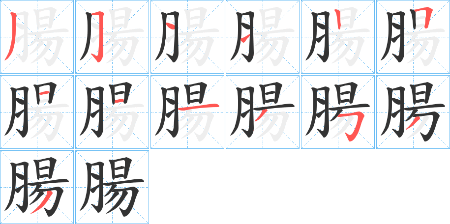 腸字的笔顺分布演示