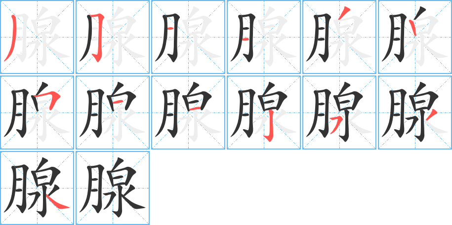 腺字的笔顺分布演示