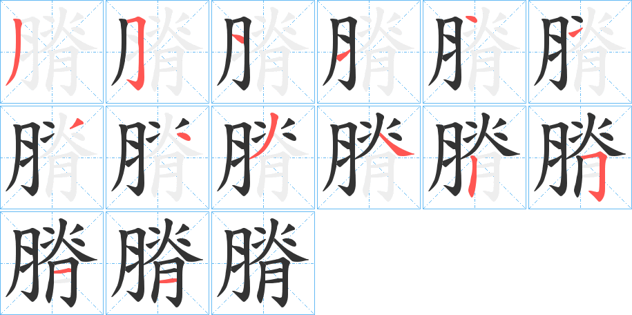 膌字的笔顺分布演示