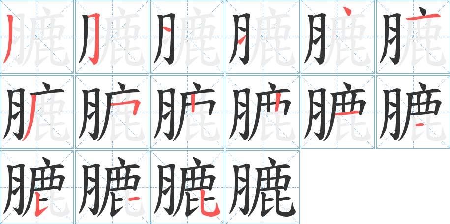 膔字的笔顺分布演示