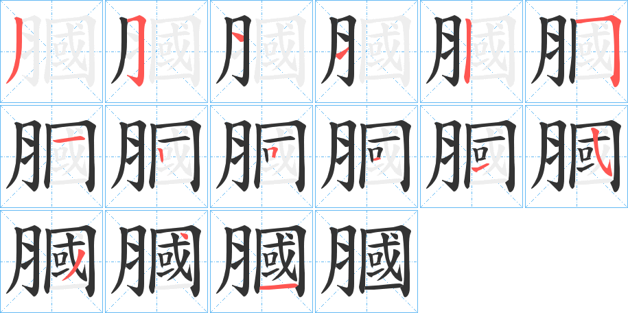 膕字的笔顺分布演示