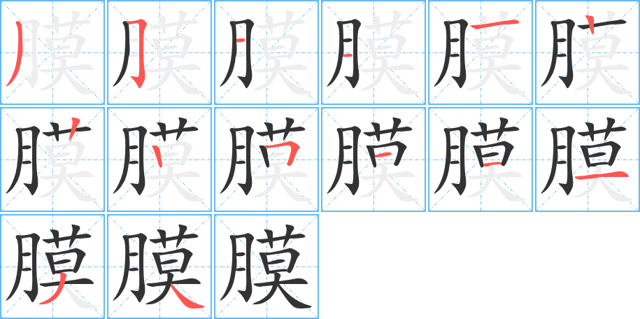 膜字的笔顺分布演示