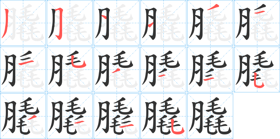 膬字的笔顺分布演示