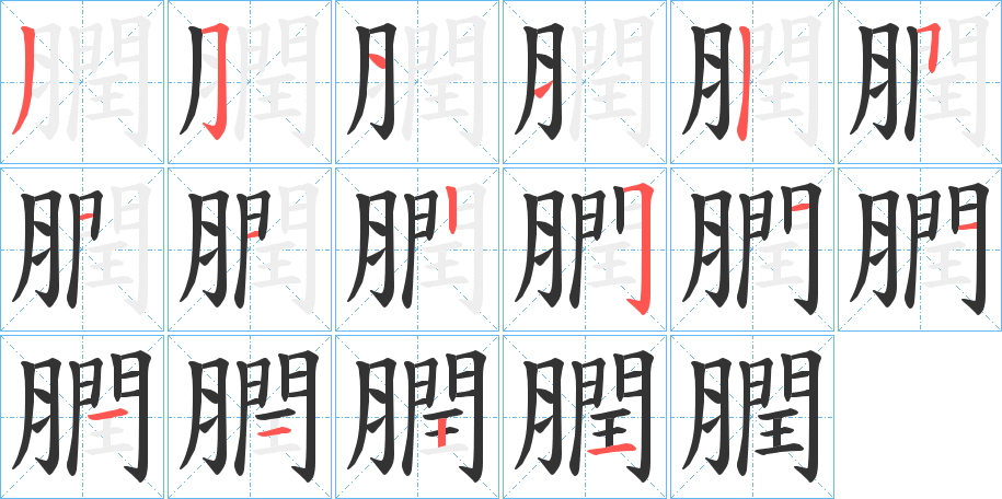 膶字的笔顺分布演示