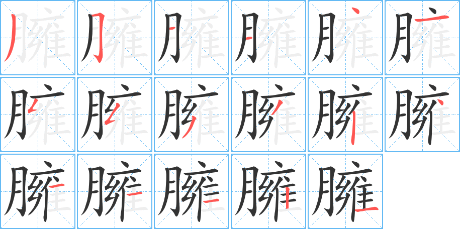 臃字的笔顺分布演示