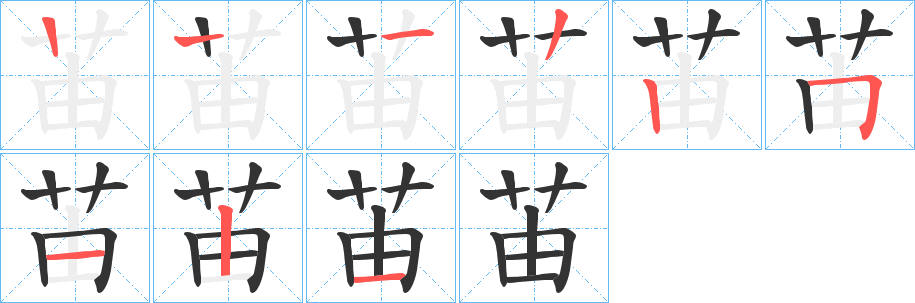 苖字的笔顺分布演示