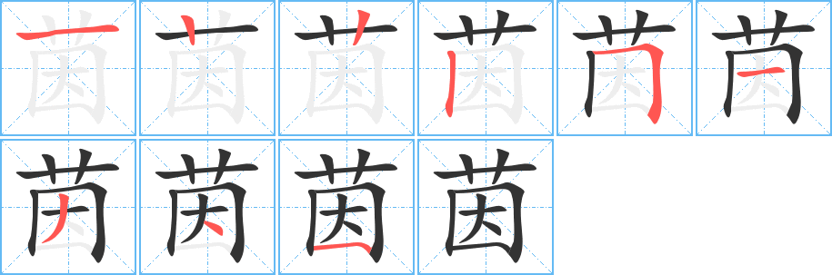 茵字的笔顺分布演示