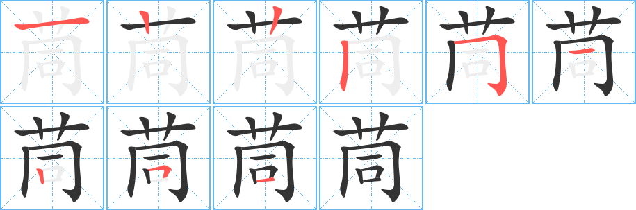 茼字的笔顺分布演示