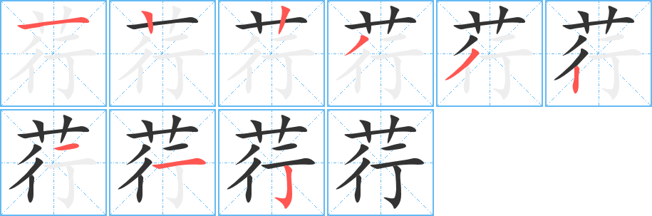 荇字的笔顺分布演示