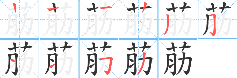 荕字的笔顺分布演示