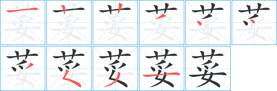 荽字的笔顺分布演示