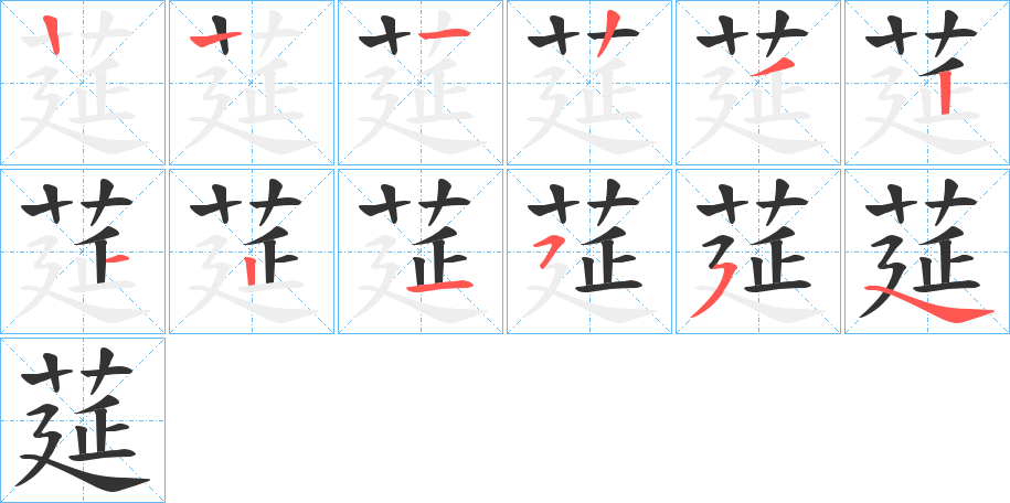 莚字的笔顺分布演示