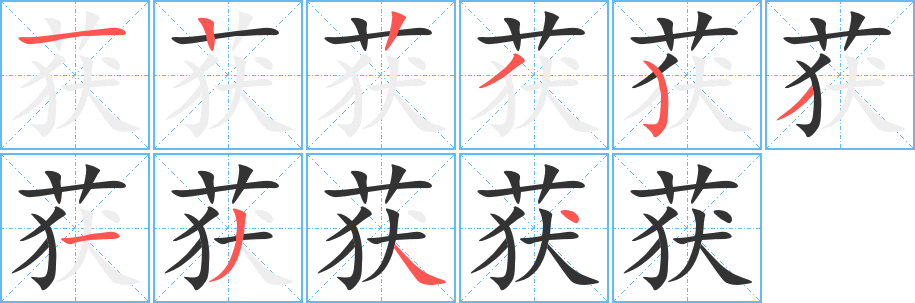 获字的笔顺分布演示