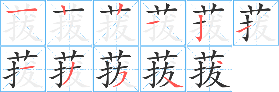 菝字的笔顺分布演示